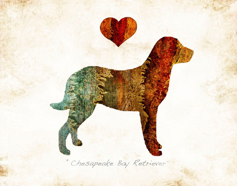 Chesapeake Bay Retriever Dog Breed Art Print Signed by Dan Morris