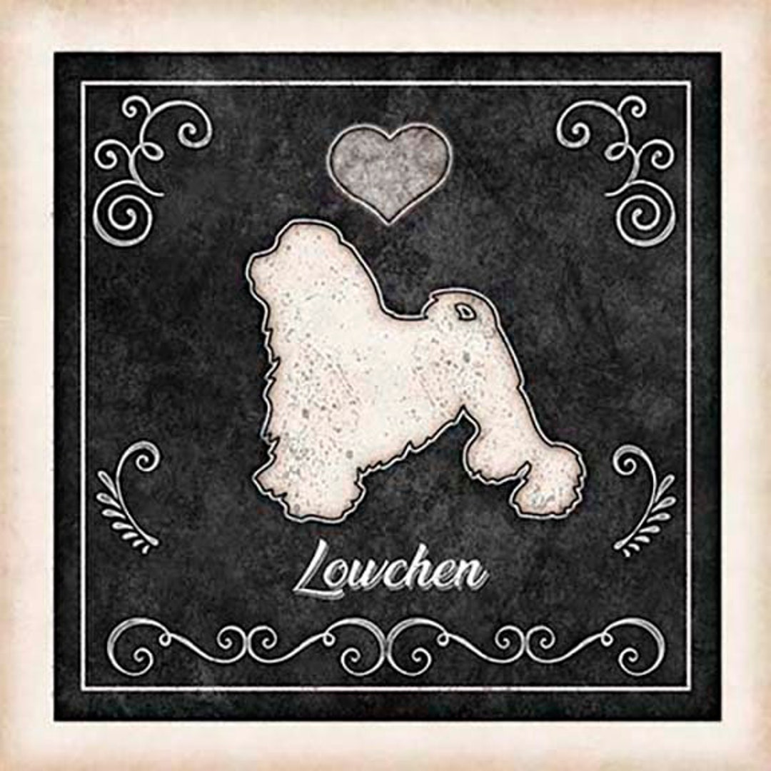 Lowchen Perro Lowchen Perro Chalk Art Mounted Print por Dan Morris, Añadir nombre de ...