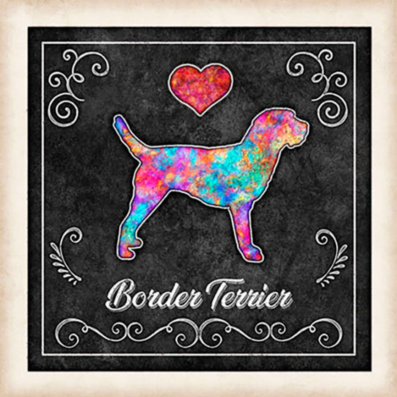 Border Terrier Dog Chalk Art Square Mounted Print by Dan Etsy
