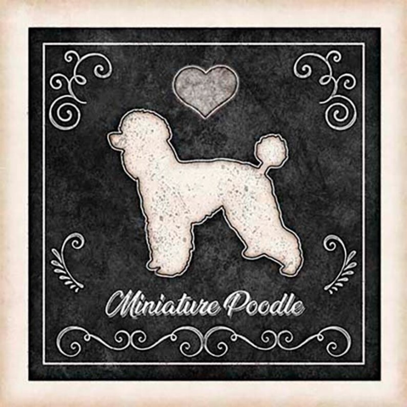 Miniature Poodle Dog Chalk Art Mounted Print by Dan Morris Etsy