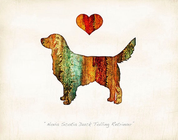 Novia Scotia Duck Retriever Dog Breed Watercolor Art Print by Dan Morris Personalize Choose Color Add Dog s Name in Loving Remembrance Etsy Australia
