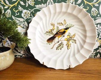 Dinner Plate Copeland Spode American Birds Canada Jay
