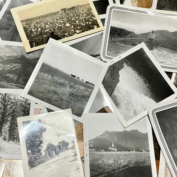 Vintage landscape photos, antique photos, photo lot, 20 vintage photos, photos of outdoors, scrap pack, scrapbooking, junk journal lot