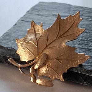 May include: A gold-toned maple leaf brooch. The brooch features detailed veining and a textured surface, capturing the natural form of a leaf. The brooch is a classic accessory.