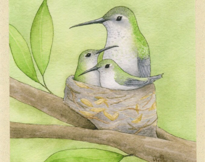 Hummingbird Mother with Babies (Treetop Trio) Greeting Card