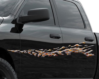 Splash vinyl graphics for cars and trucks Set of 2
