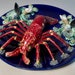 Majolica Lobster Plate 3D Porcelain Sculpted Seafood Seaweed Etsy Majolica Lobster Plate 3D Porcelain Sculpted Seafood Seaweed Etsy