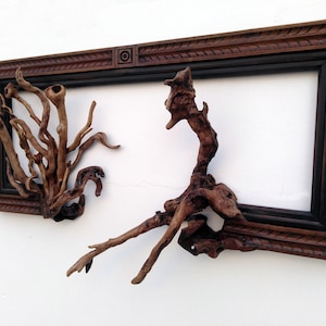 Driftwood wall art Branch frame design(The Peafowl),  Solid wallnut, oak and pine Wood, Fusion frame, tree branch art with driftwood