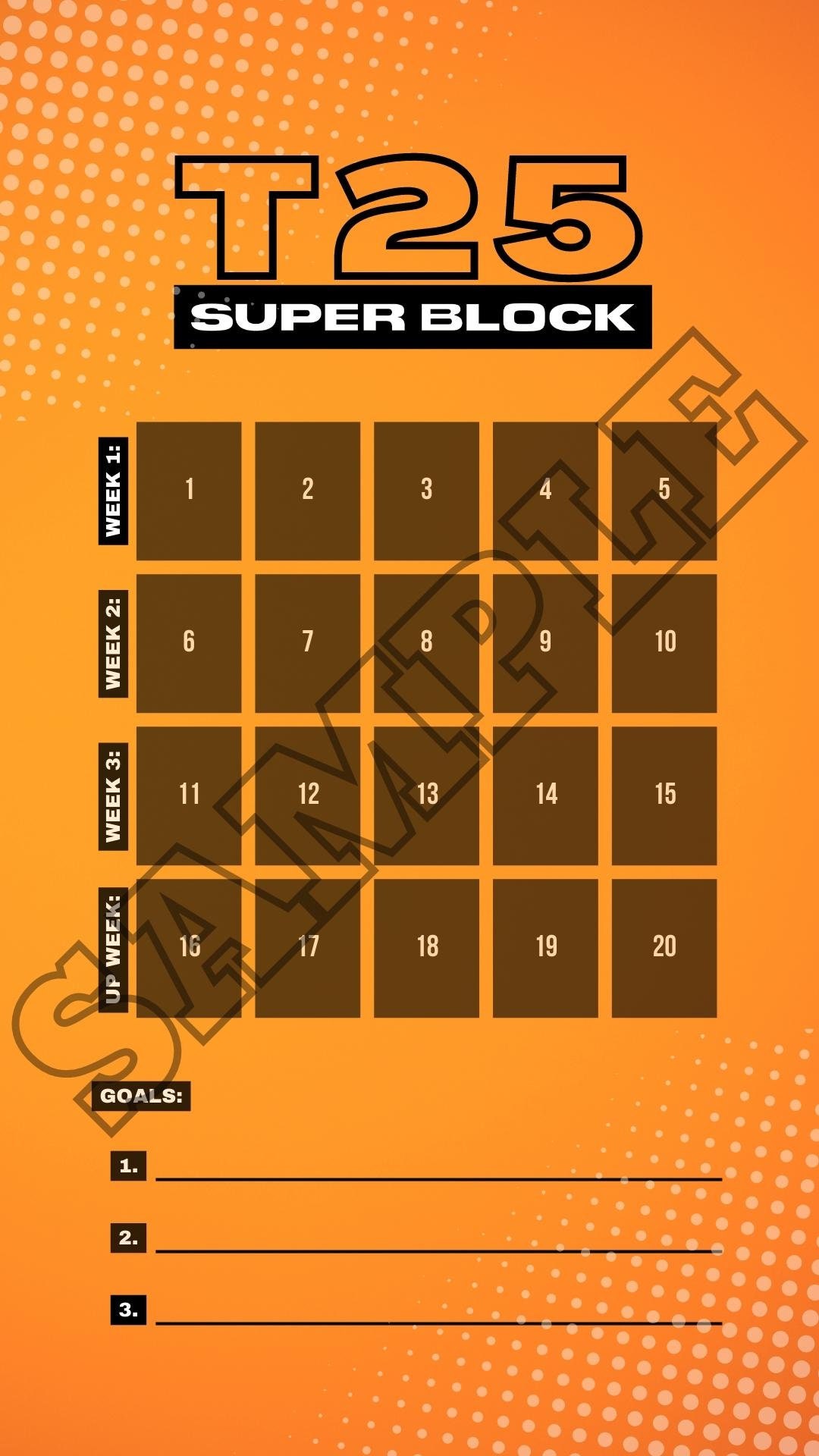 B25 + T25 Sweaty Selfie Tracker | Bodi Tracker | Social Media Tracker ...