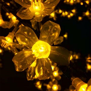 May include: A string of warm white fairy lights shaped like delicate flower blossoms. The lights are strung together on a wire and create a warm, inviting glow.