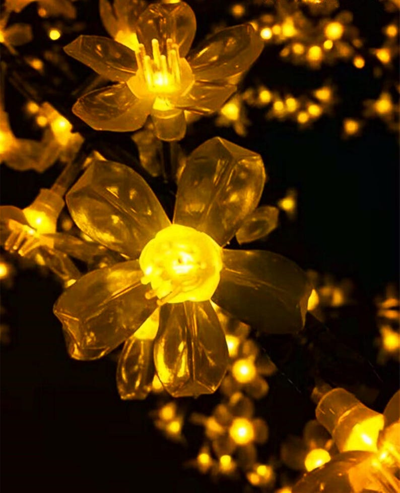 May include: A string of warm white fairy lights shaped like delicate flower blossoms. The lights are strung together on a wire and create a warm, inviting glow.