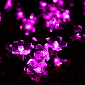 May include: A string of fairy lights shaped like pink flowers. The lights are strung together with a clear wire and are illuminated with a warm white glow.