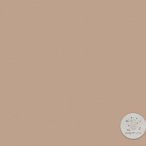 May include: A light brown textured background with a white circle in the bottom right corner. The circle has a black and white illustration of a turtle with the text "Stargazer Turtle" underneath.