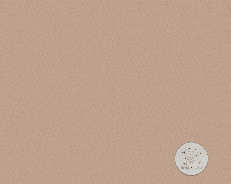 May include: A light brown textured background with a white circle in the bottom right corner. The circle has a black and white illustration of a turtle with the text "Stargazer Turtle" underneath.