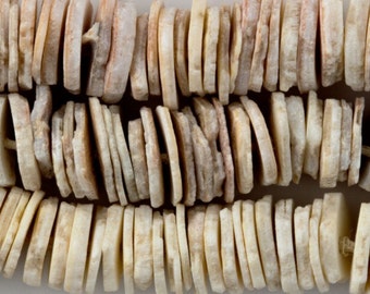 May include: Close-up of a strand of natural, rectangular shell beads. The beads are a mix of off-white and light brown, with a slightly irregular shape. The beads are strung together, creating a necklace or bracelet.