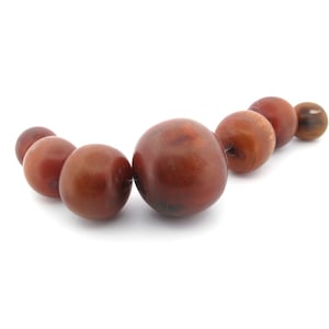 Vintage horn trade beads from West Africa.  Graduated strand of 7.  20-34mm. b3-ho28b