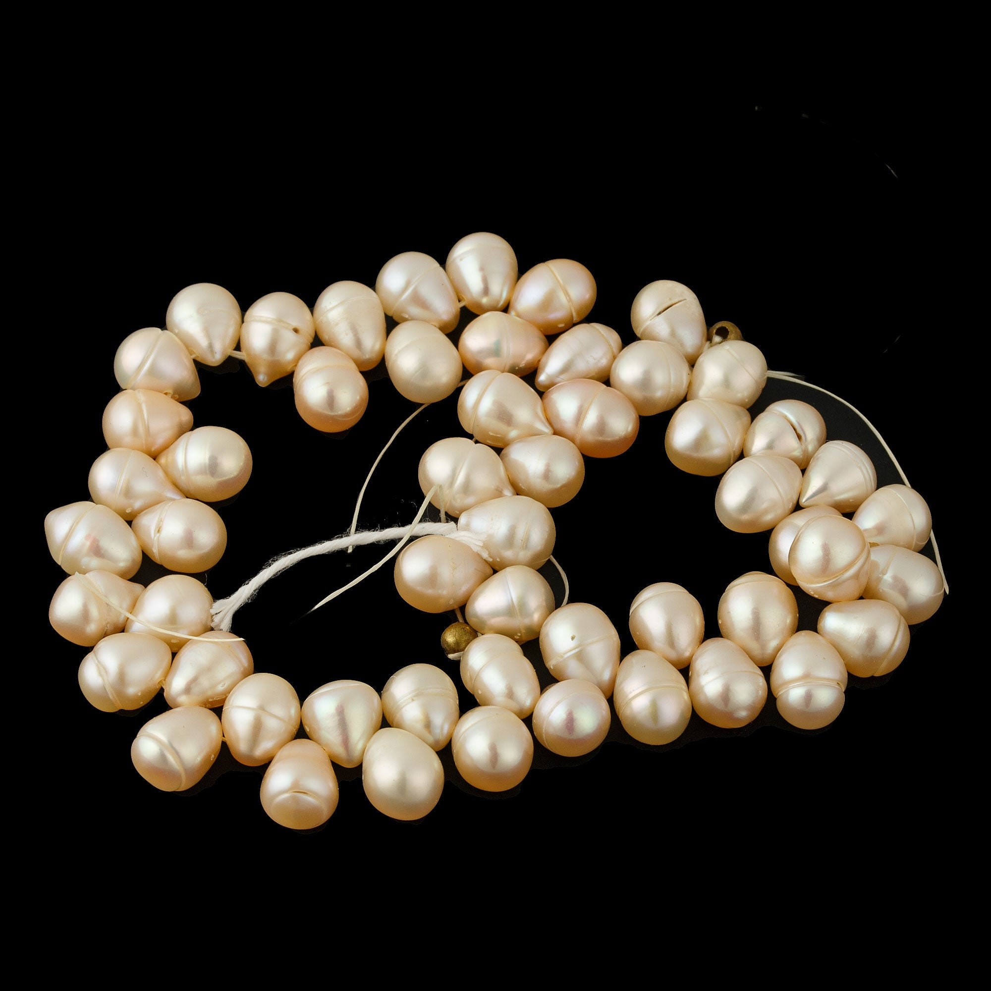 ripsails fall baroque Pearl〈pearl top〉 N8090BQ-54_261a9a92-473e-43fe-