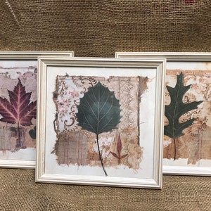 Framed Art by Pamela Gladding, Aspen, Maple, Oak, New Leaf Series, Gango Editions, Leaves Wooden Frames,  10&quot; Square Frames, USA