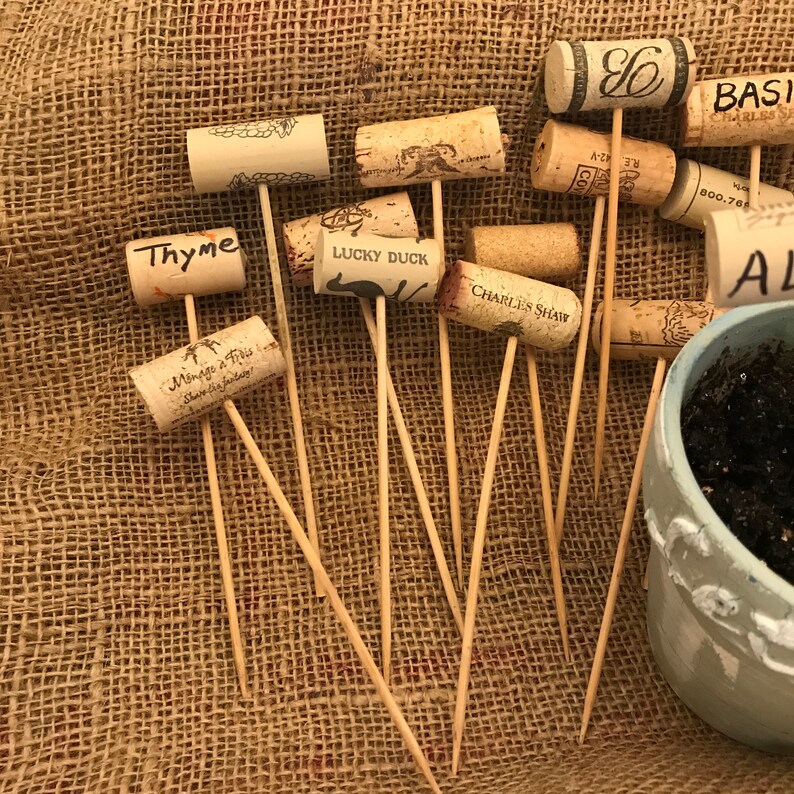 Plant Markers Herb Labels Garden Seed Markers Cute Plant Etsy