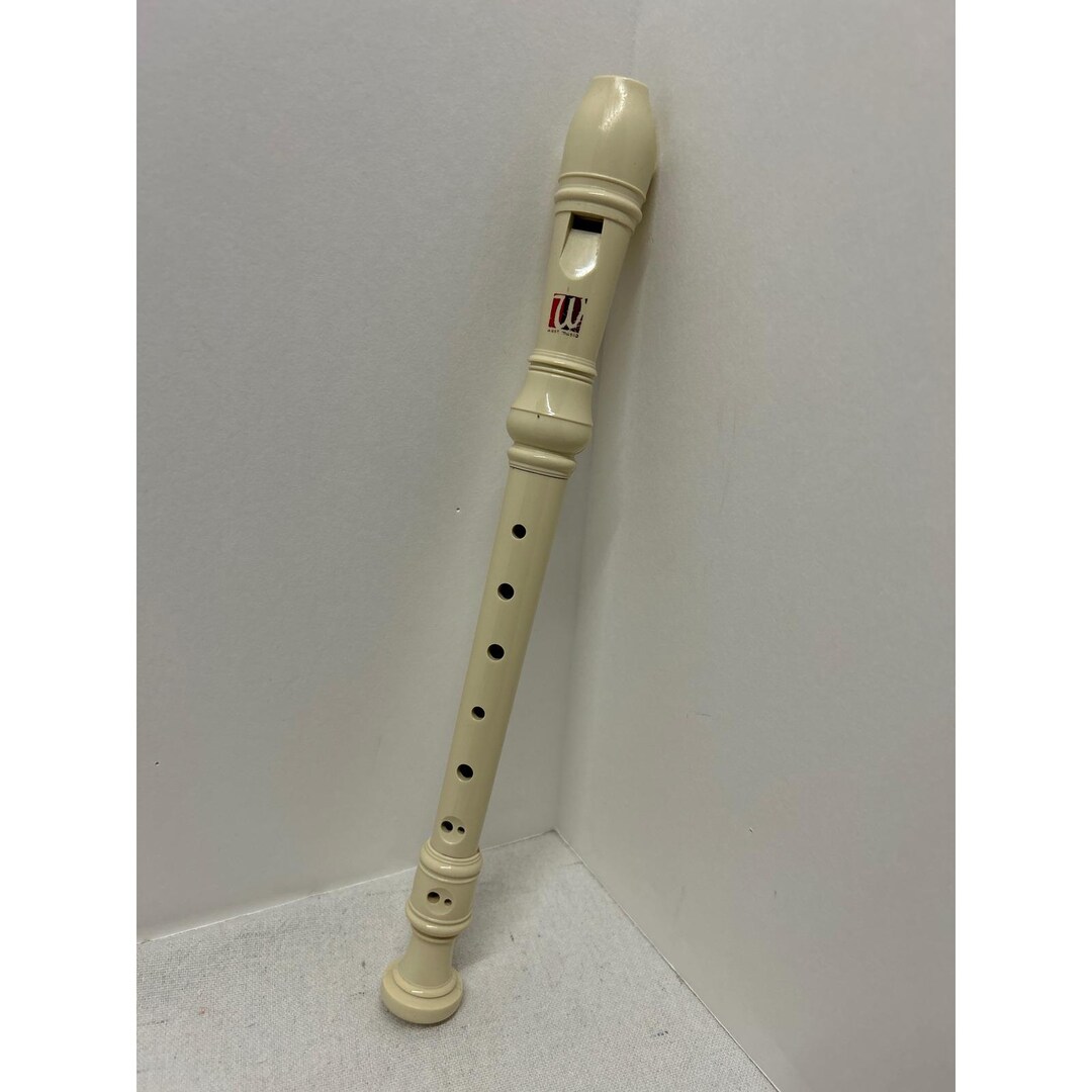 Vintage West Music Recorder 22 Cream Color Beginner Musical Instrument ...