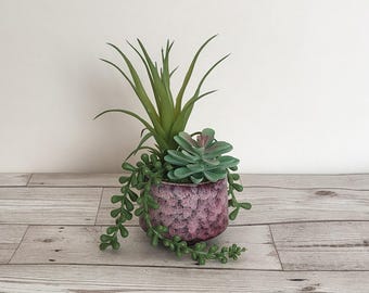 Artificial Succulent planter - no watering, low maintenance house plant