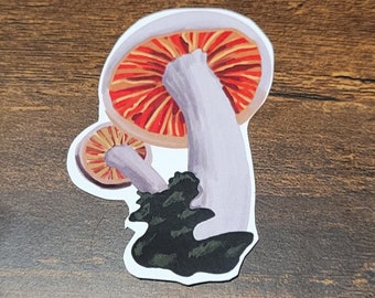 Whimsical Hand Drawn Mushroom Stickers