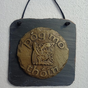 Placca da muro in ardesia Póg mo Thóin con la frase irlandese che significa baciami il culo.