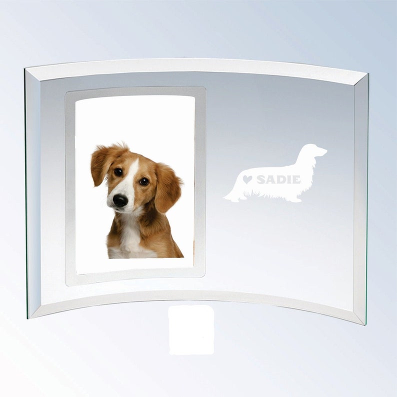 Free Personalization and Shipping Long Haired Dachshund Dog Glass Etched Picture Frame