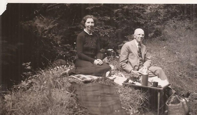 The Picnic Set of Three Photos of People Picnicking Vintage - Etsy
