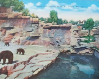 May include: A vintage postcard depicting a rocky landscape with a small pool of water. The postcard features the text "Bear Pix, Forest Park, St. Louis, Mo. 43". Three brown bears are visible in the foreground.