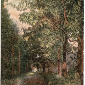 Lover’s Lane, High View, New York, carte postale vintage, illustration en couleur, image d’une beauté envoûtante d’une destination de vacances emblématique, 1911