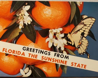 Greetings from Florida the Sunshine State, YOUR CHOICE, Vintage Color Photo Postcard with Oranges, Orange Blossoms, Butterfly, Vacation