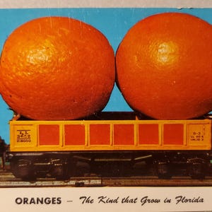 Laranjas, o tipo que cresce na Flórida Cartão postal fotográfico colorido vintage, nunca usado, cartão postal divertido e bobo de laranjas em um vagão de carga de trem,