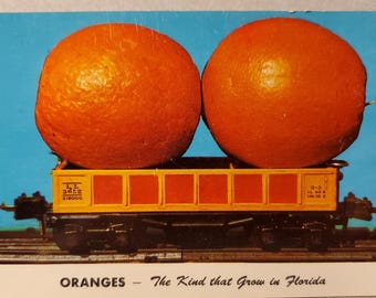 Oranges, The Kind that Grow in Florida Vintage Color Photo Postcard, Never Used, Silly Fun Postcard of Oranges on a Train Cargo Car,