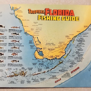 Guía de pesca en la Florida tropical, postal antigua ilustrada en color de la costa de Florida, correspondencia de viajes de vacaciones, recuerdo