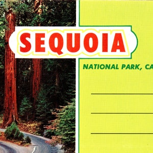 Sequoia National Park, Ansichtkaart Set, California Natural Wonder, Vintage Ansichtkaart Set, Boekje van Ansichtkaarten van Sequoia Park en Bomen