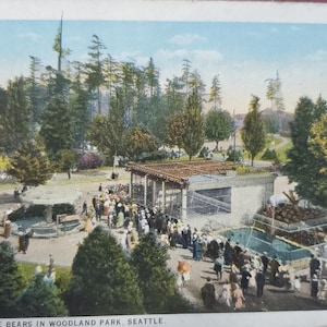 Woodland Park Seattle Washington, observation des ours, carte postale illustrée en couleur vintage, souvenir de voyage, souvenir de vacances