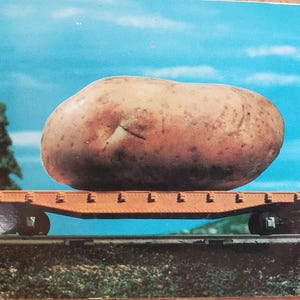 May include: A large potato rests on an orange flatbed train car, set against a backdrop of a blue sky and miniature trees. The potato is brown with a textured surface, and the train car is on a track.