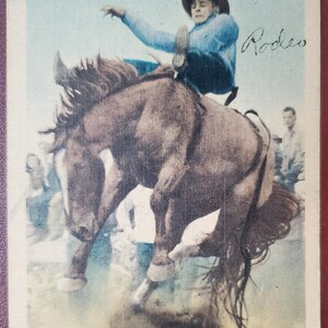 Campeonato de Concurso de Equitação Sem Sela, Bud Linderman, Cartão Postal Vintage Colorido Ilustrado, Imagem de Rodeio, Exposição de Gado e Rodeio da L.S.U.