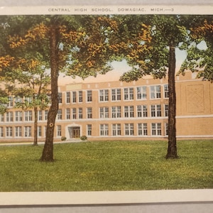 Escuela Secundaria Central, Dowagiac, Michigan. Postal vintage ilustrada a color. Edificio imponente. Arquitectura. Recuerdo de viaje.