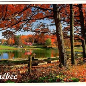 Québec à l'automne, superbe image de feuilles d'automne, carte postale vintage, scène d'automne sur un lac, souvenir de voyage, érables et feuilles, coloré