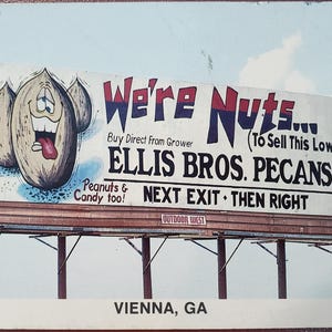 We're Nuts, Ellis Brothers Pecans, Wien Georgien, Vintage Farbfoto Postkarte, Reisekorrespondenz