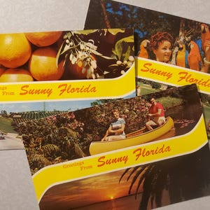 Saudações da ensolarada Flórida, cartão postal vintage com foto colorida, lembrança de viagem, pomares de laranjeiras, papagaios coloridos, golfe, canoagem, conjunto de 3
