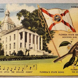 Postal vintage ilustrada a color del estado de Florida: Sinsonte, Tallahassee, Canción del río Suwannee, Bandera del estado, Flor de naranja, Vacaciones