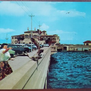 Amusement sur la jetée de loisirs, Saint-Pétersbourg, Floride, carte postale photo couleur vintage, destination touristique, jetée de pêche, nourrir la faune