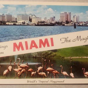 Saudações de Miami, Flórida, A Cidade Mágica, Cartão Postal Vintage Colorido, Paisagem Urbana, Horizonte, Flamingos, Viagem de Férias, Nunca Usado