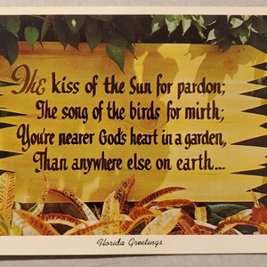 Poema de saludo de Florida, beso del sol, postal antigua en color, nunca utilizada, recuerdo de viaje, correspondencia de vacaciones, poema sentimental