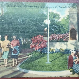Parque Williams, popular en el centro de San Petersburgo, Florida. Postal vintage ilustrada a color. Vacaciones en Florida. Jardines. Destino turístico.