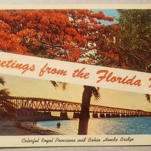 Salutations de Key West en Floride, Royal Poinciana, pont Bahia Honda, carte postale photo couleur vintage, souvenir de voyage, destination de vacances