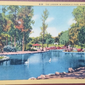 La laguna nell'Avondale Park, Birmingham, Alabama, cartolina illustrata a colori d'epoca, corrispondenza di viaggio, destinazione per le vacanze